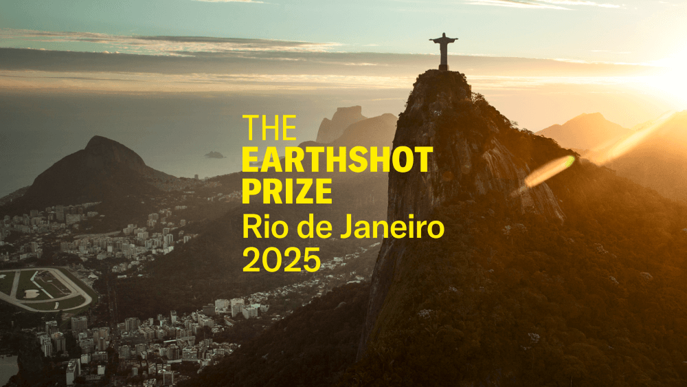 Peça do Earthshot Prize