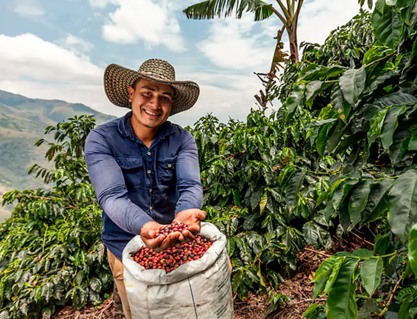 Cafeícultor colombiano