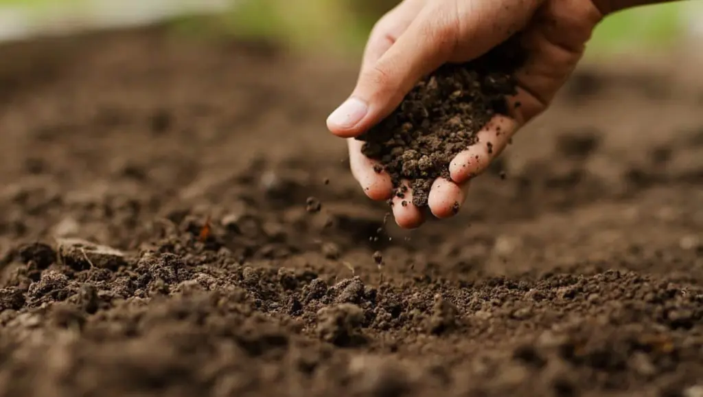 Homeme manipulando a terra