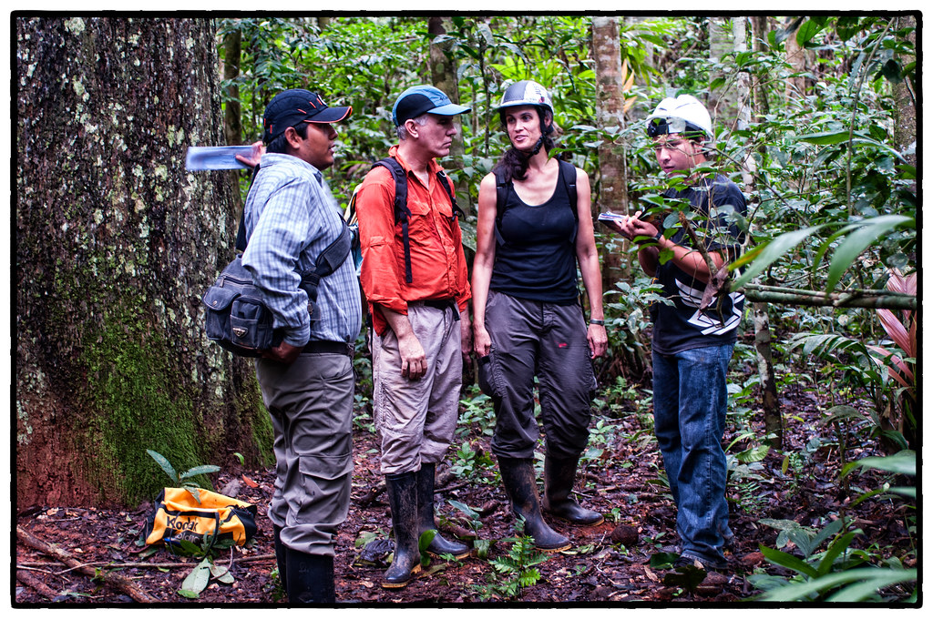 Cientistas na floresta