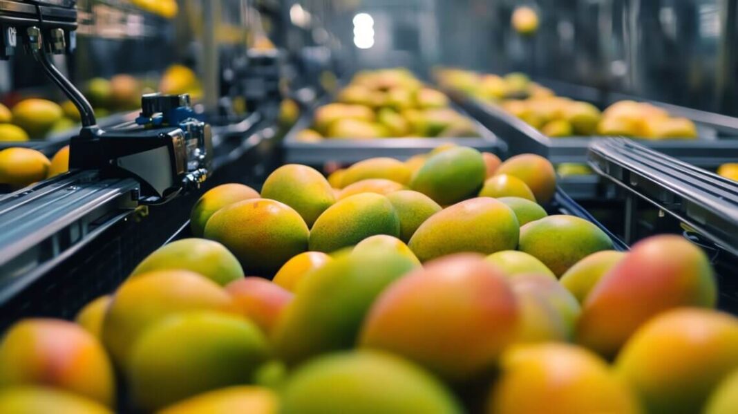 Linha de exportação de mangas