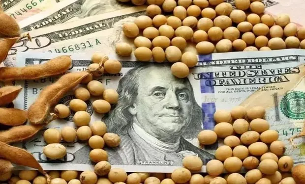Dolares cobertos por grãos de soja
