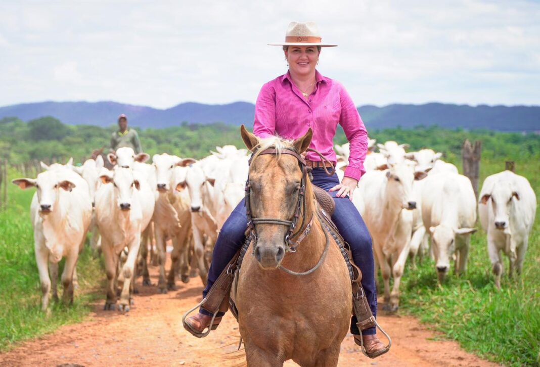Fazendeira montando a cavalo diante de rebanho nelore.