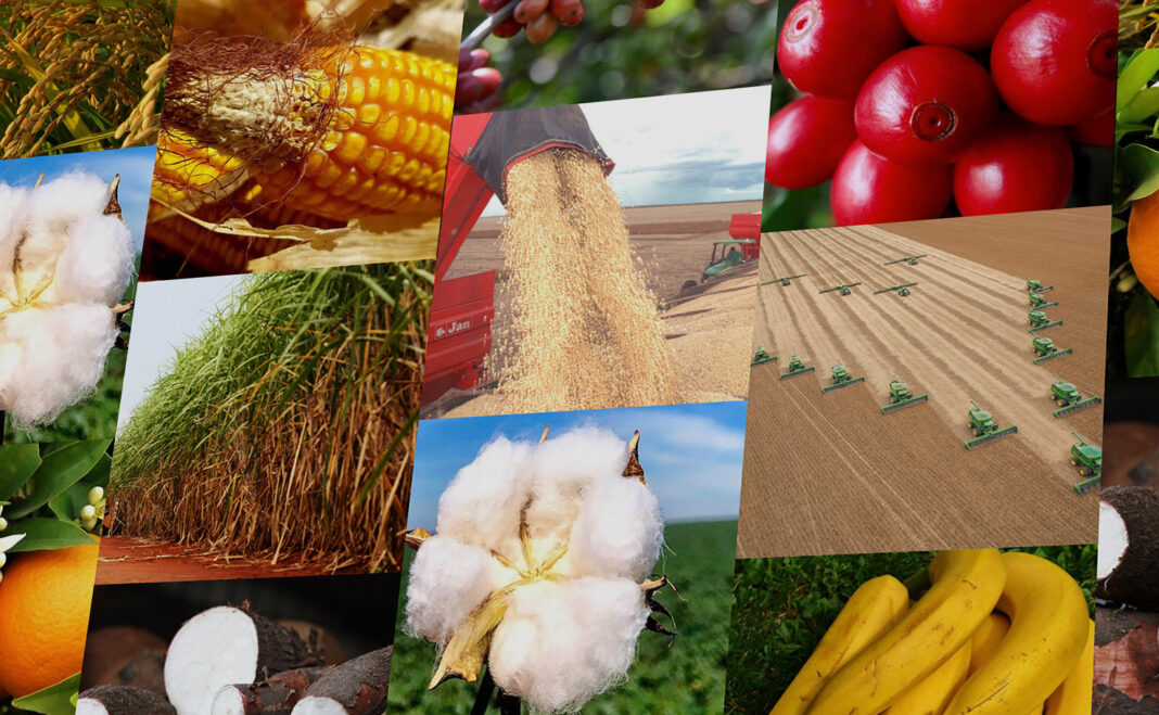 Principais produtos agricolas de exportação